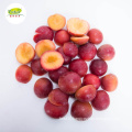Organic Supply IQF Frozen Plum Fruit Half For Sale